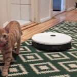 no-kitten-around-—-the-yeedi-vac-2-pro’s-black-friday-deal-is-back-to-its-lowest-price-ever
