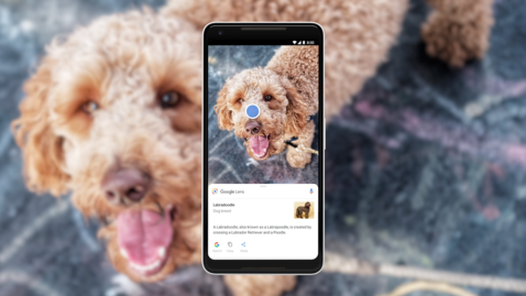 5-simple-ways-to-access-google-lens-on-your-android-or-iphone