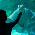 how-to-take-amazing-aquarium-photos:-9-tips