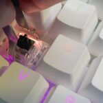 linear-vs-tactile-vs.-clicky-switches:-what’s-the-difference,-and-what-should-you-choose?
