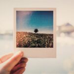 how-to-create-printable-polaroid-style-photos-using-canva