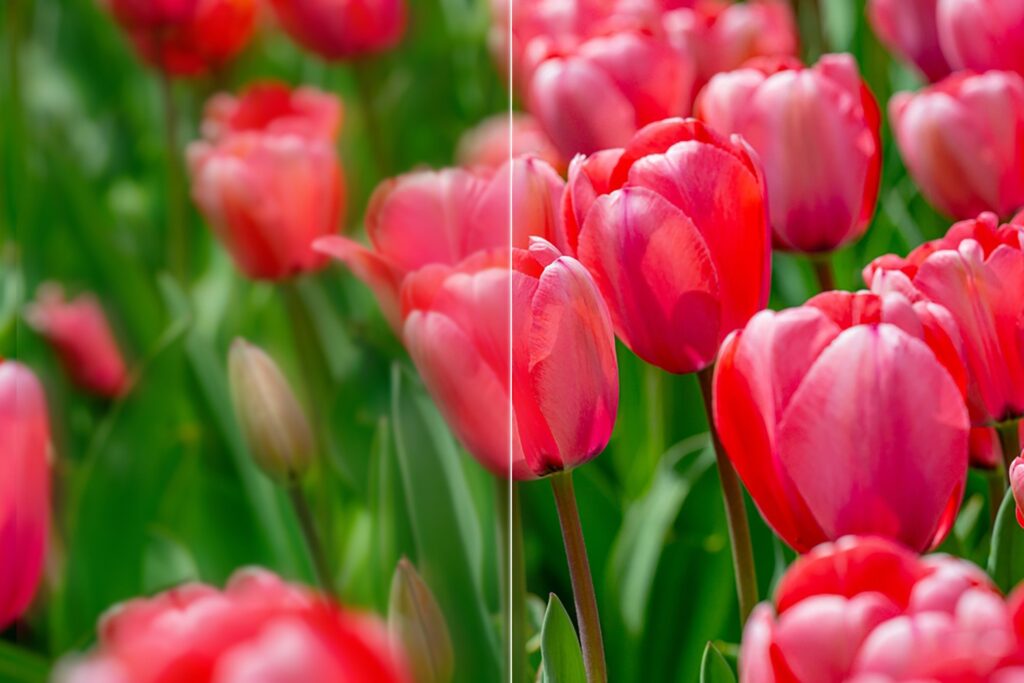 this-free-app-sharpens-blurry-photos-instantly