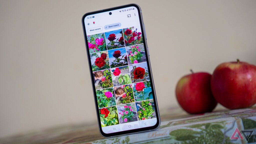 7-google-photos-alternatives-worth-considering