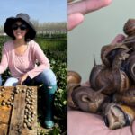 yes,-singapore-has-a-snail-farm-now,-and-it-provides-fresh-escargot-meat-right-here