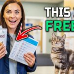 7-secret-spots-for-free-essentials-that-save-your-budget