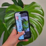 apple-just-fixed-this-annoying-lock-screen-feature-with-ios-26.1