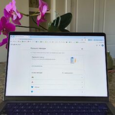 this-is-why-i’m-careful-about-saving-passwords-in-my-web-browser