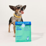 5-vet-approved-ingredients-to-dodge-(and-5-to-demand)-in-your-dog’s-food