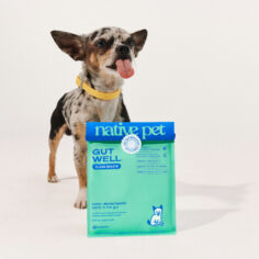 5-vet-approved-ingredients-to-dodge-(and-5-to-demand)-in-your-dog’s-food