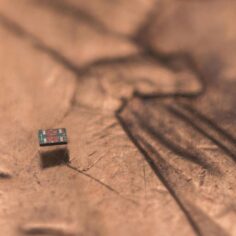 scientists-just-built-a-robot-smaller-than-a-grain-of-salt-that-can-think-for-itself