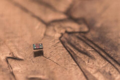 scientists-just-built-a-robot-smaller-than-a-grain-of-salt-that-can-think-for-itself