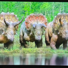 this-lg-tv-is-big-on-vivid-colors-but-lacks-details-in-the-dark