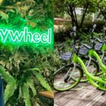 most-bike-sharing-firms-failed-in-singapore.-how-has-anywheel-survived-for-so-long?