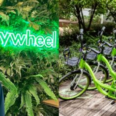 most-bike-sharing-firms-failed-in-singapore.-how-has-anywheel-survived-for-so-long?